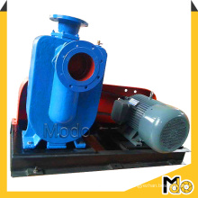 Electric Centrifugal Horizontal Sewage Pump